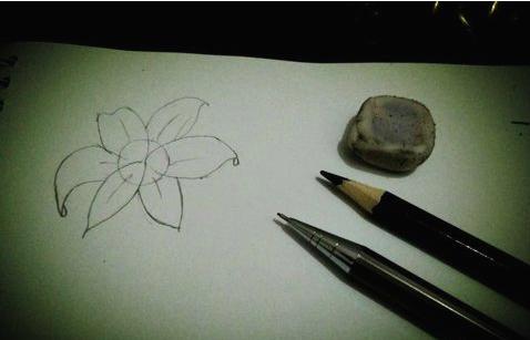 百合花簡筆畫怎么畫（圖解步驟）