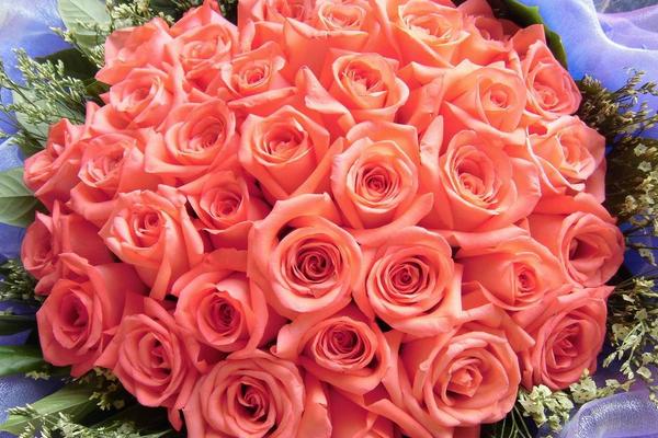 玫瑰花花語是什么