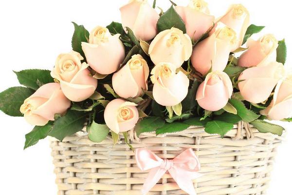 玫瑰花花語是什么