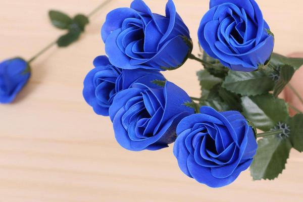 玫瑰花花語是什么