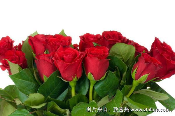 玫瑰花的折法(圖解步驟)