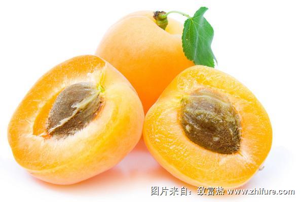 枇杷的功效與作用及禁忌