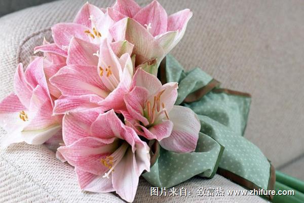 百合花送給什么人