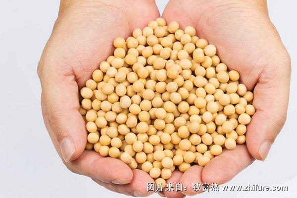 大豆?fàn)I養(yǎng)價值與功效作用