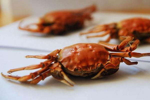 螃蟹和地瓜能一起吃嗎