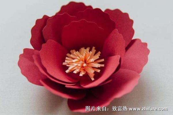 牡丹花怎么折(圖解步驟)