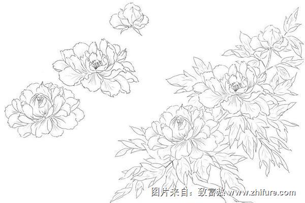 牡丹花怎么畫(圖解步驟)