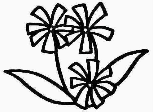 蘭花簡筆畫怎么畫(圖解步驟)