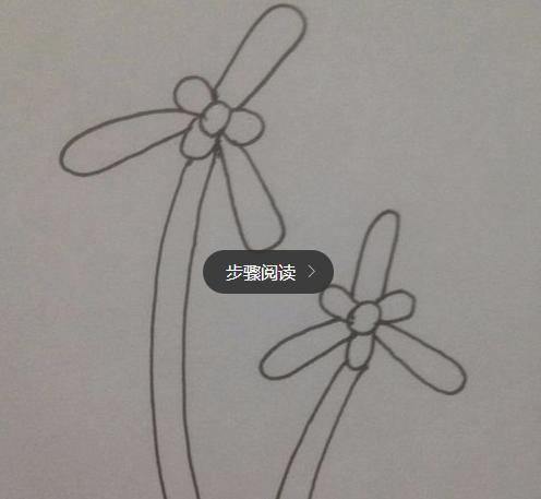 蘭花簡筆畫怎么畫(圖解步驟)