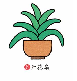 蘭花簡筆畫怎么畫(圖解步驟)