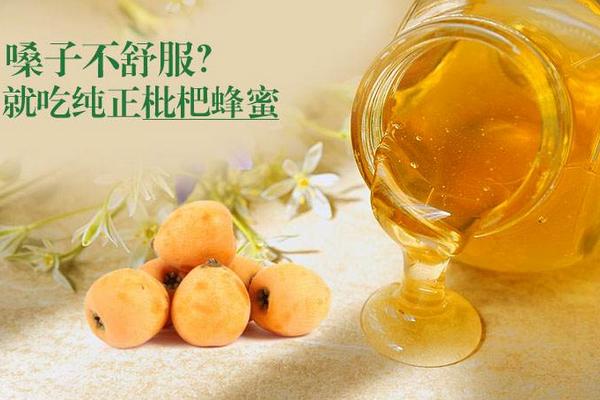 枇杷蜂蜜的功效與作用及禁忌