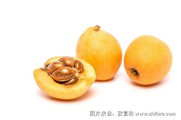 枇杷果的功效與作用及禁忌