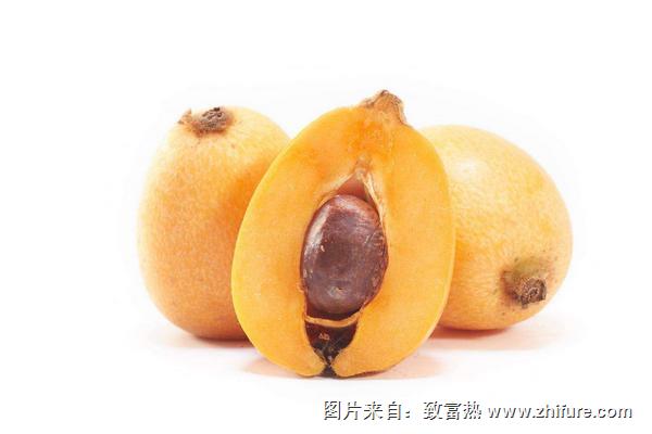 孕婦可以吃枇杷嗎