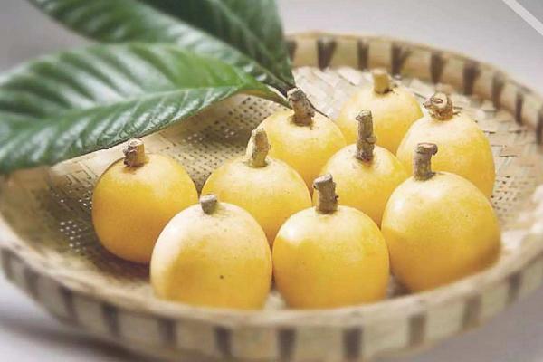 孕婦可以吃枇杷嗎