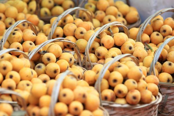 孕婦可以吃枇杷嗎