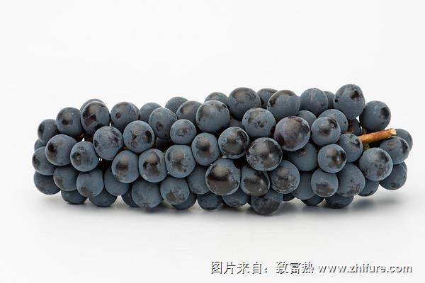 夏黑葡萄功效與作用及禁忌