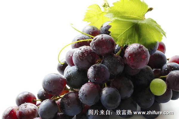 夏黑葡萄圖片大全