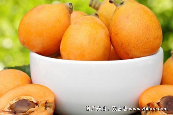 枇杷吃多了會上火嗎