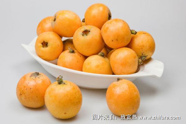 枇杷是熱性還是涼性