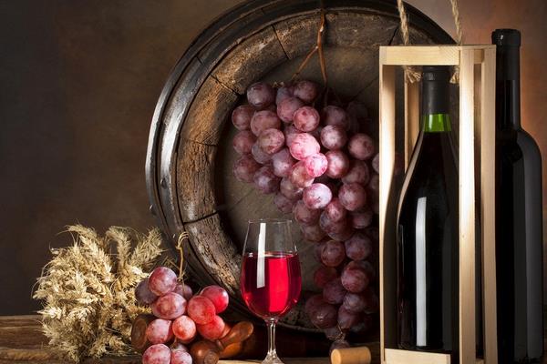 夏黑葡萄能釀葡萄酒嗎