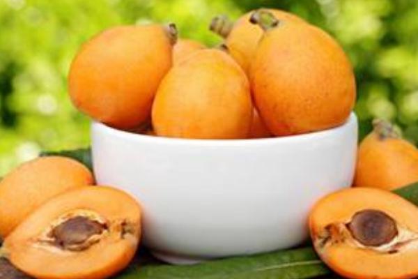 枇杷是什么季節(jié)的水果