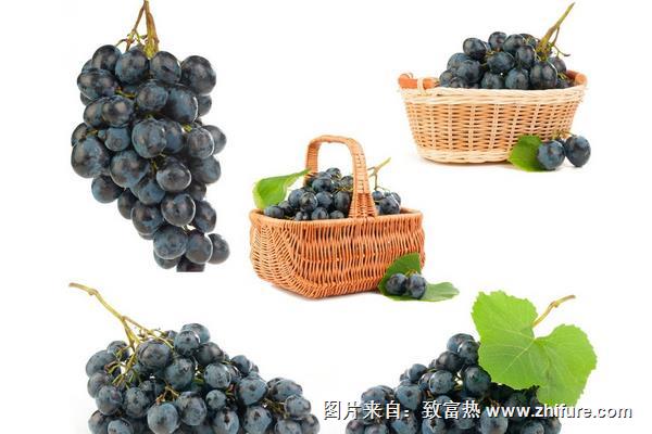 夏黑葡萄畝產(chǎn)多少