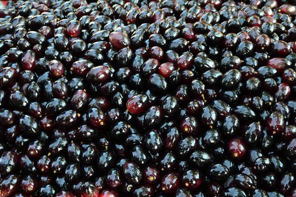 夏黑葡萄畝產(chǎn)多少