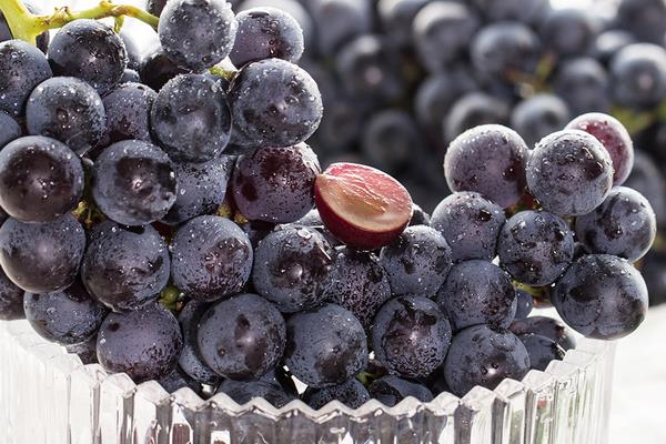 夏黑葡萄有籽嗎