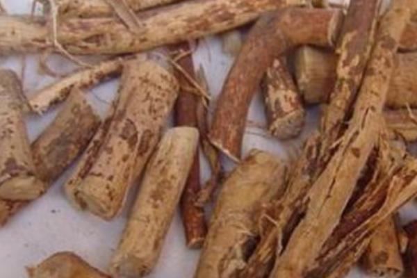 枇杷根的功效與作用及禁忌