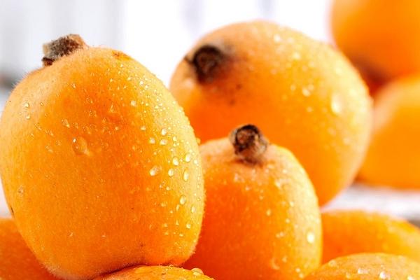 枇杷根的功效與作用及禁忌