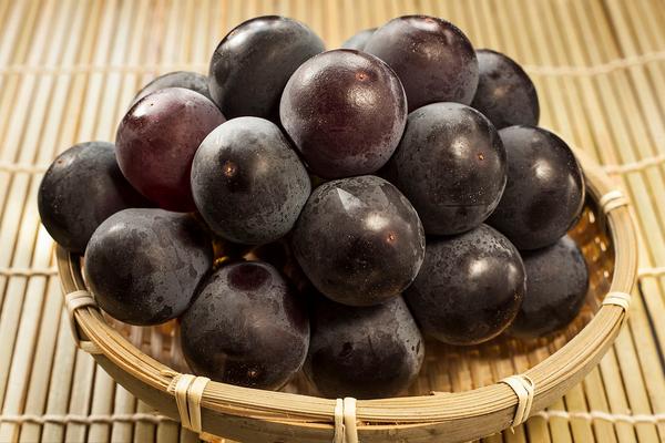 巨峰葡萄的營養價值