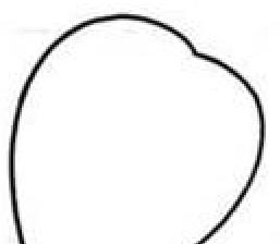 草莓簡筆畫(圖解步驟)