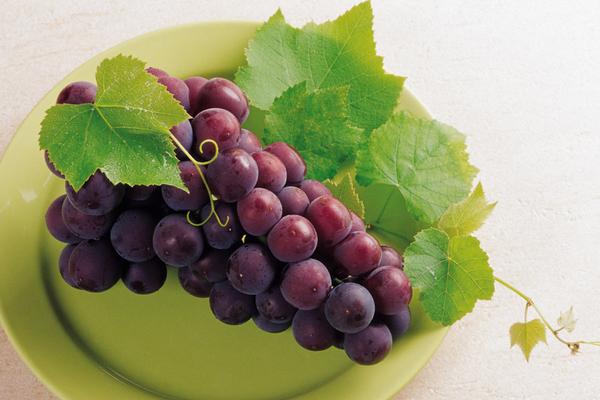 葡萄是熱性還是涼性