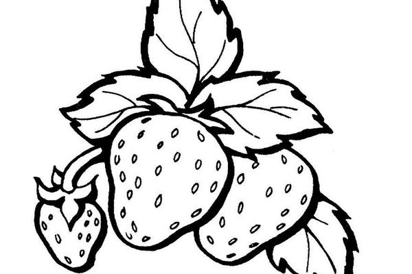 草莓簡筆畫(圖解步驟)