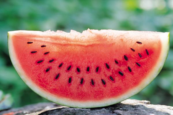 西瓜醬的做法大全