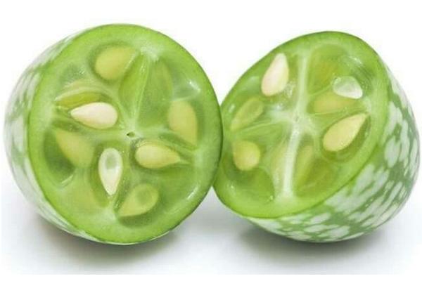 拇指西瓜價格多少錢一斤