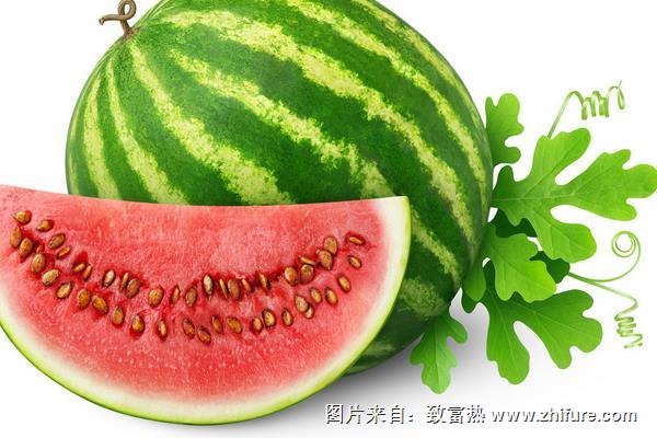 山東的西瓜為什么沒人要