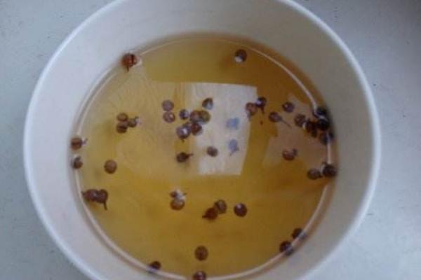 花椒泡酒的功效與作用及禁忌