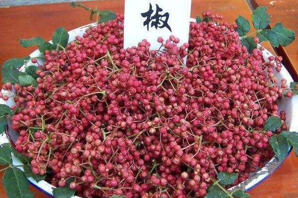 花椒生發(fā)嗎?