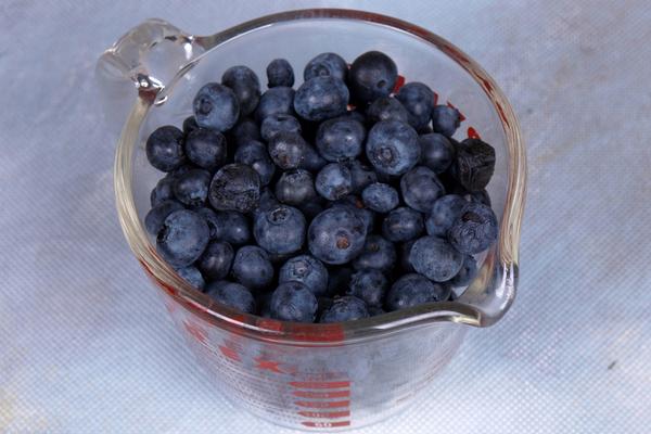 山葡萄的功效與作用及禁忌