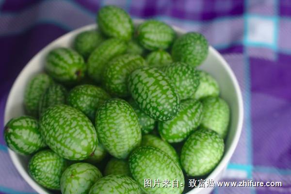 拇指西瓜價格多少錢一斤