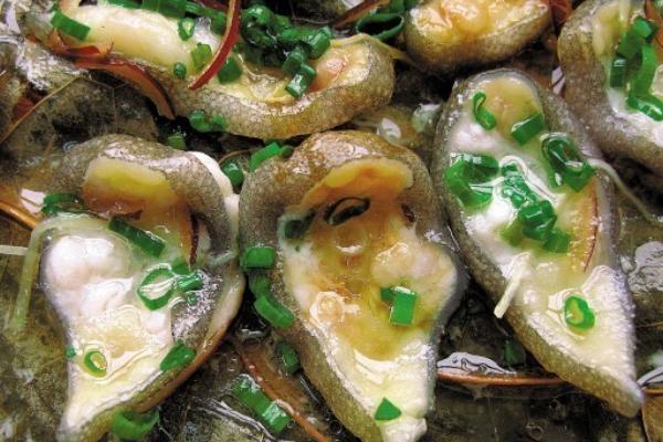 孕婦能吃娃娃魚嗎?