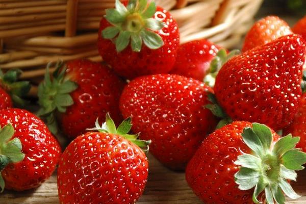 草莓圖片大全