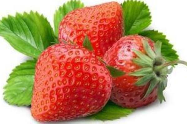 草莓圖片大全
