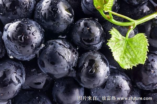 巨峰葡萄營養(yǎng)價值