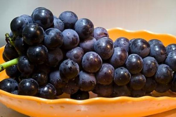 孕婦可以吃巨峰葡萄嗎