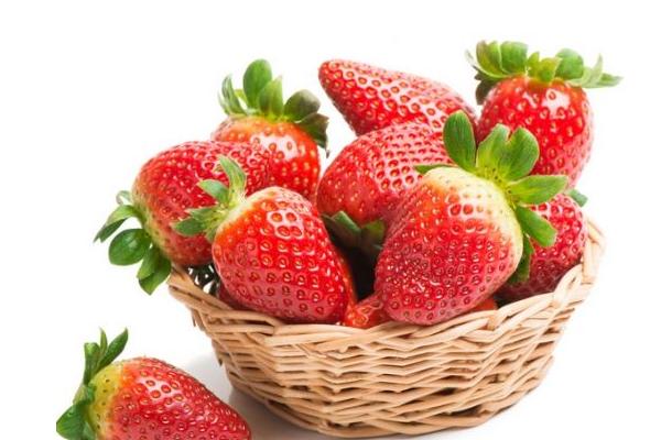 草莓一年結幾次果