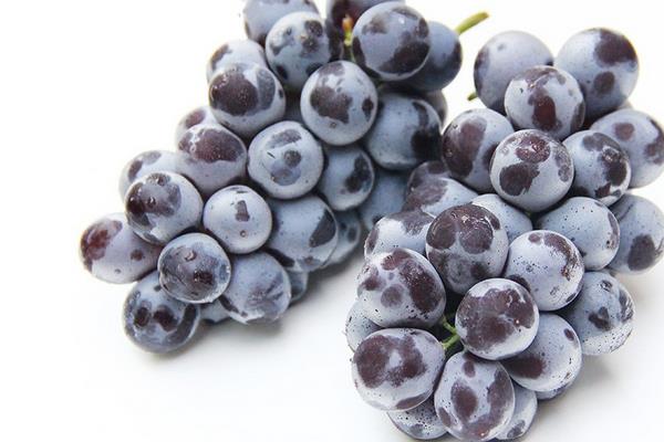 玫瑰香葡萄功效與作用及禁忌