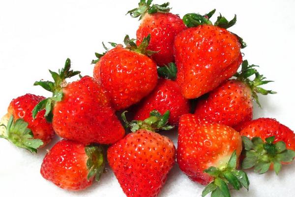 草莓有哪些品種