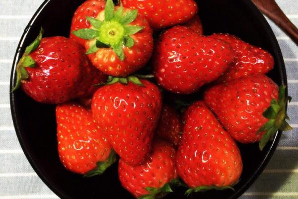 草莓有哪些品種
